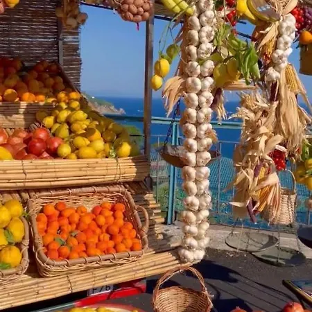 Benincasa