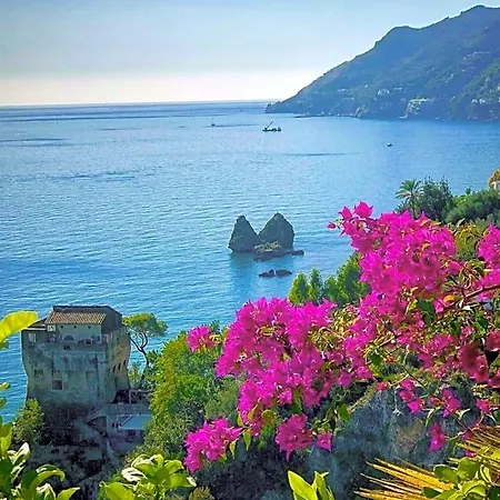 Benincasa