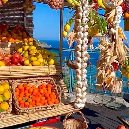 Benincasa Bed & Breakfast
